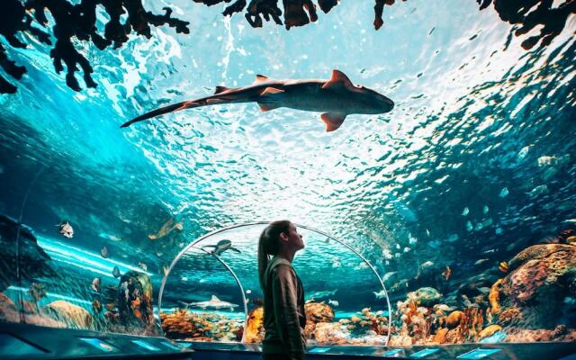 Couples Retreat @downtown With Lakeshore View