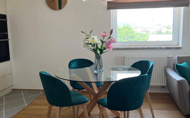 Downtown apartment Darinka