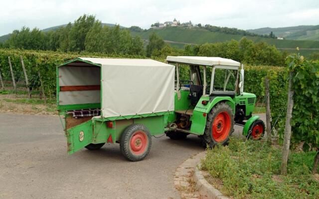 Ferienweingut Hensler