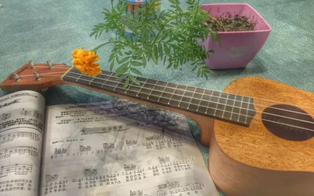 Xiyu Hostel · Cat Café