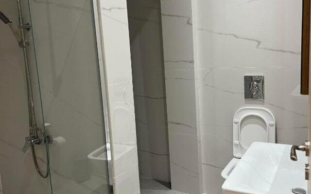 Furnished apartment (in the city center)