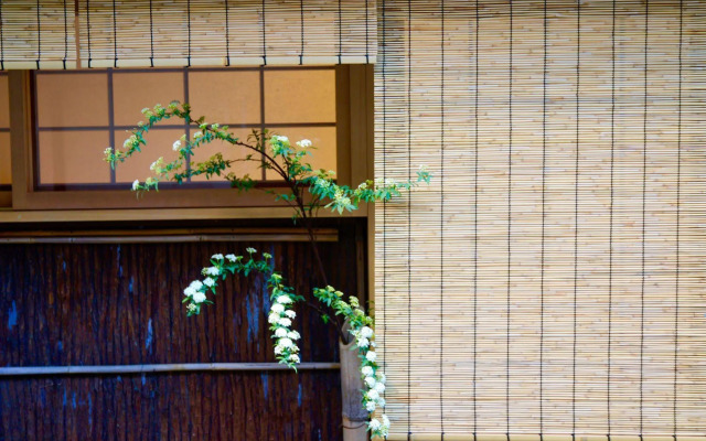 Mitsuki Kyoto
