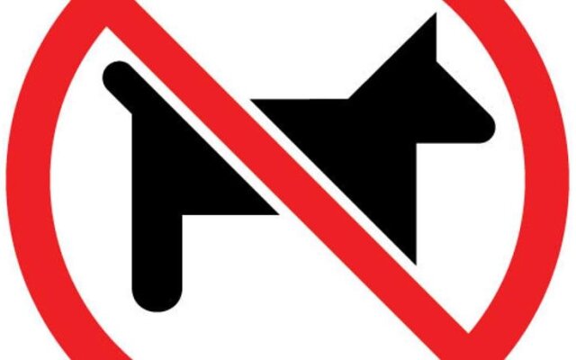 Rural Executive Holiday House @ Lavender Grove Farm