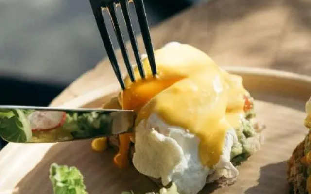 Primus Nefes Adults Only