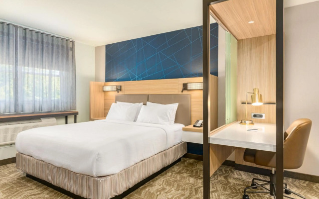 SpringHill Suites by Marriott Freeport Brunswick