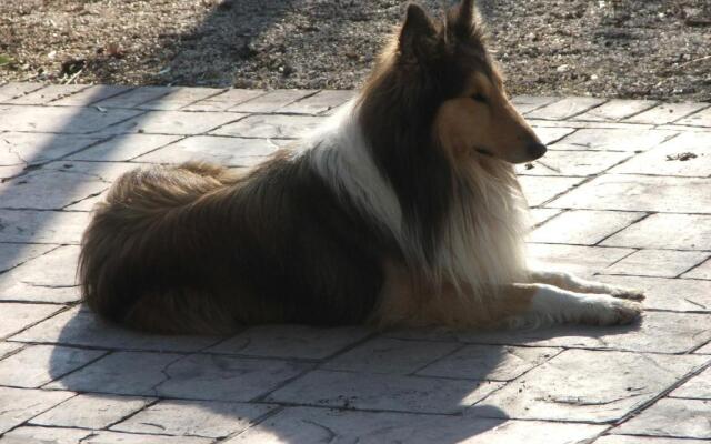 Il Casale Dell'Acquabona