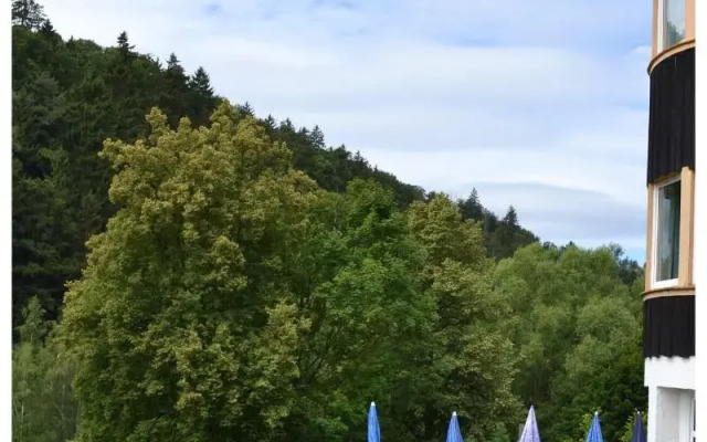 Pension & Restaurant Zum Harzer Jodlermeister