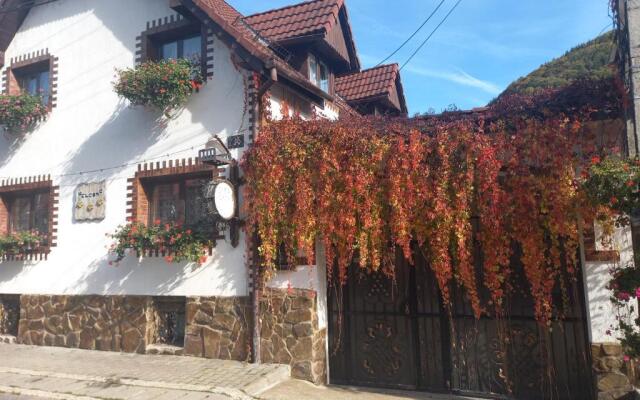 Casa de vacanta Vidrighin