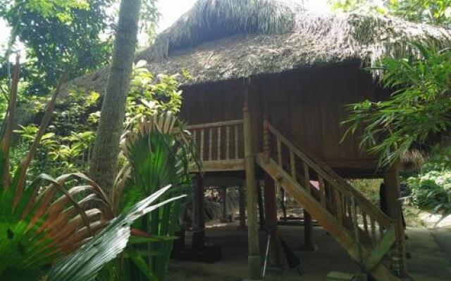 Quyets Jungle House