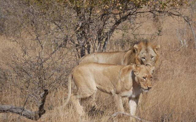 Mbizi Bush Lodge