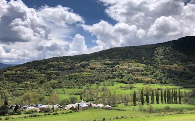 Apartament Hug Roger