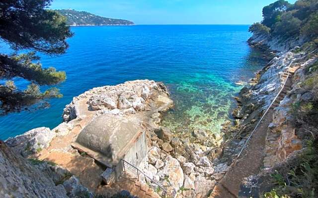 Riviera Dreams of Life