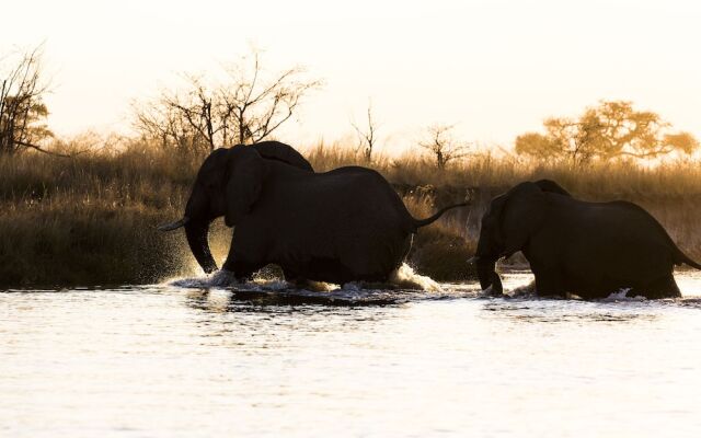 Namushasha River Lodge