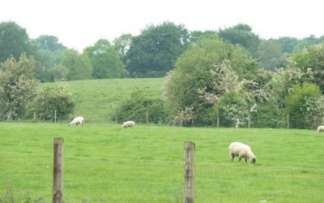 Eaglehill B&B