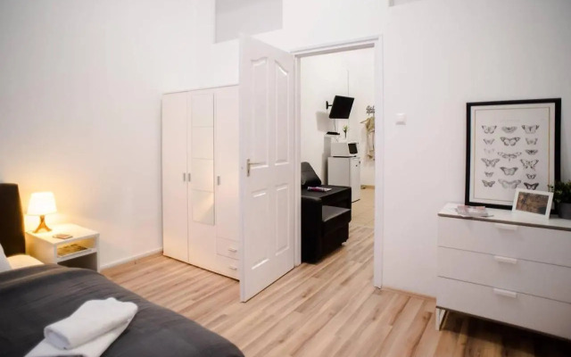 Very central spacious AC apartment