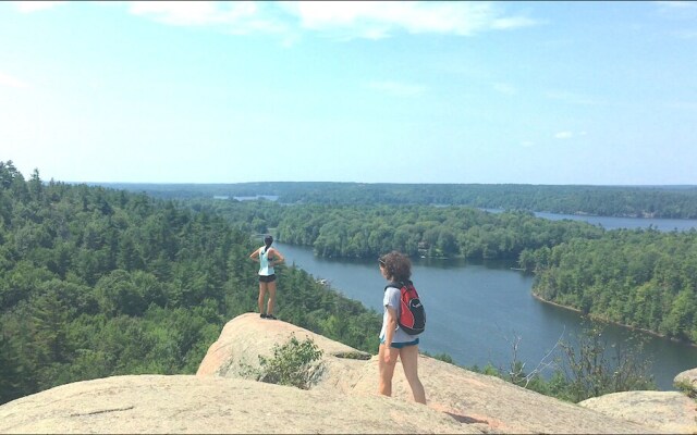 Harlem Stonegate B&B