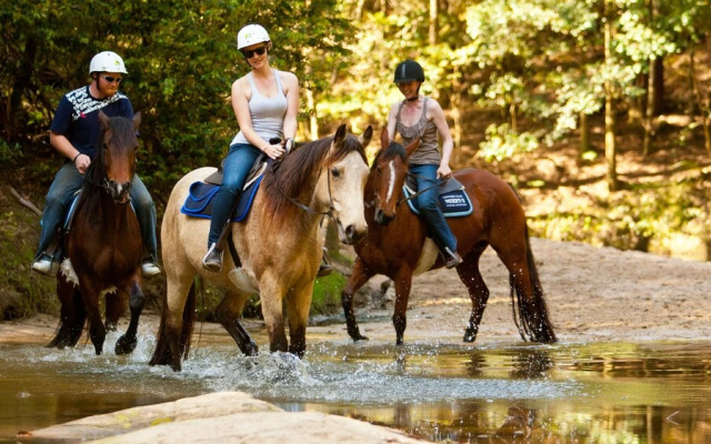 Glenworth Valley Outdoor Adventures