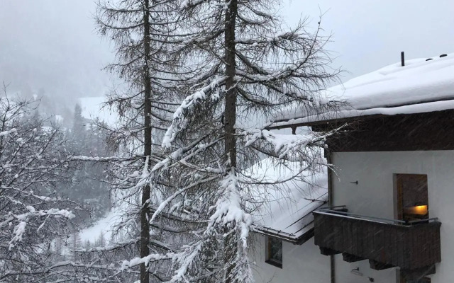 Chalethotel Haus Elfie By Skinetworks