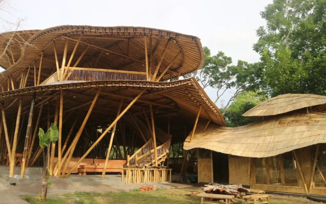 The Osing Bamboo - A Liberta Collection