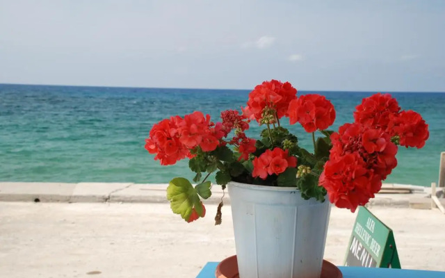 Socrates Apartments & Restaurant