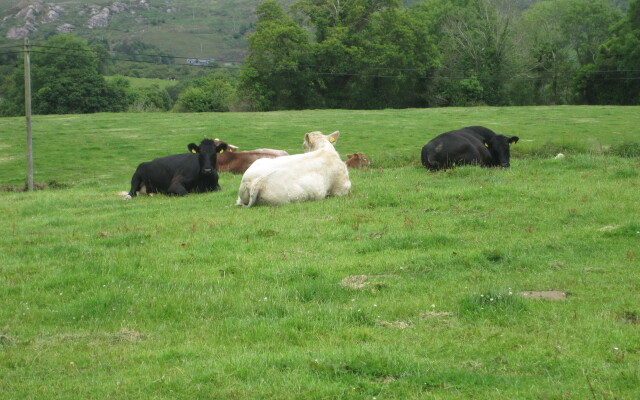 White Heather Farmhouse