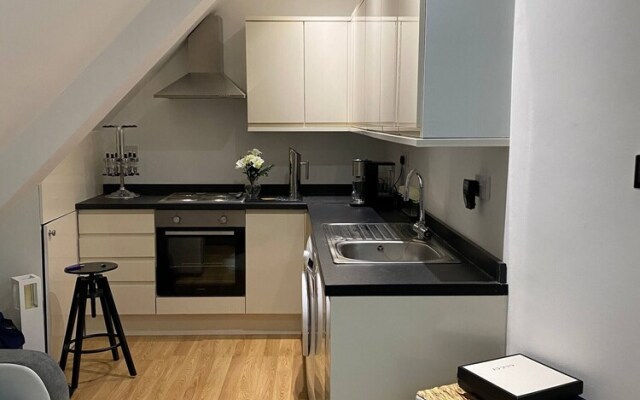 Modern Contemporary Luxury Small Medium Sized