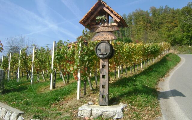 Vineyard cottage Med vinogradi