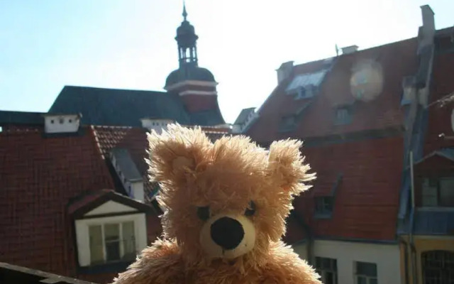 Teddy Bear Hostel Riga