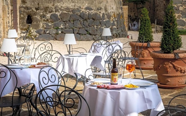 Château de Saint Vidal