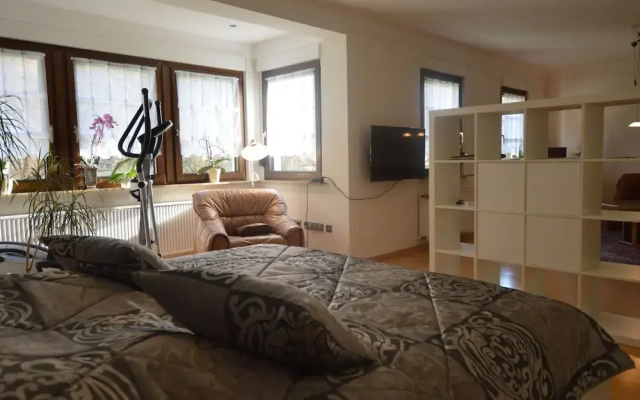 Apartment in Trittenheim With Terrace and Garden