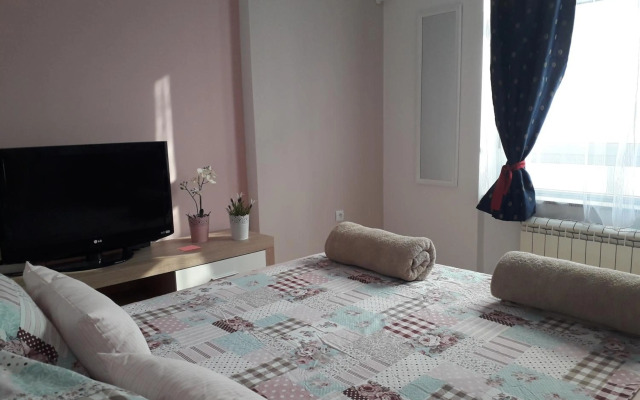 Studio Apartman Ld U Strogom Centru