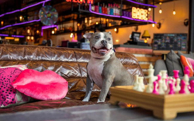 Moxy Washington DC Downtown