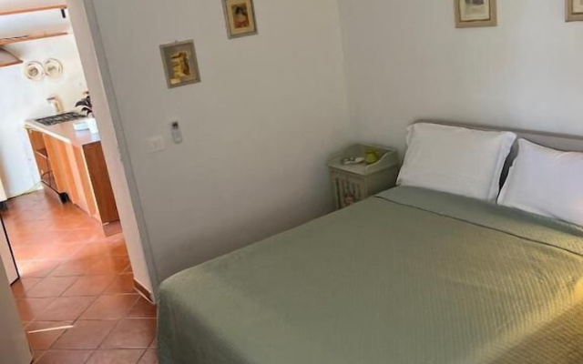 Levante Camere