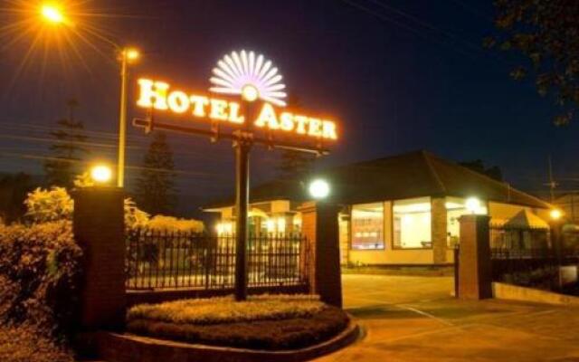 Hotel Aster