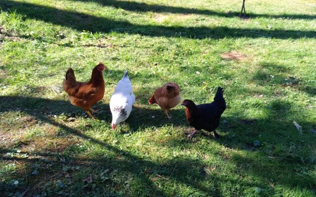 Gîte l'Etang de l'Aiguille