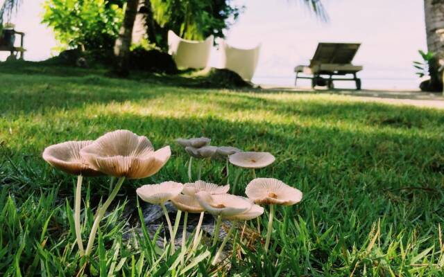 Ngellil Nature Island Resort