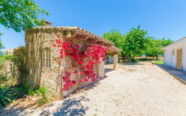 Es Moli (Es Moli De La Mar)