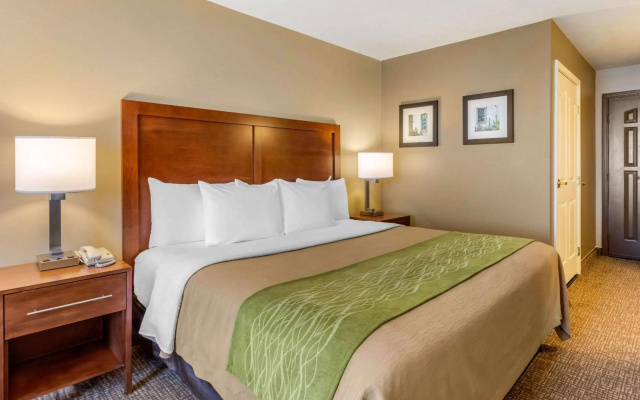 Comfort Inn & Suites El Centro I - 8