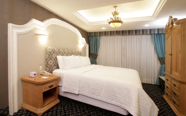 Holiday Inn Queretaro-Centro Historico by IHG