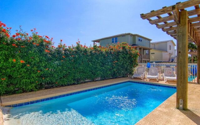 Looney Dunes 50 by RedAwning