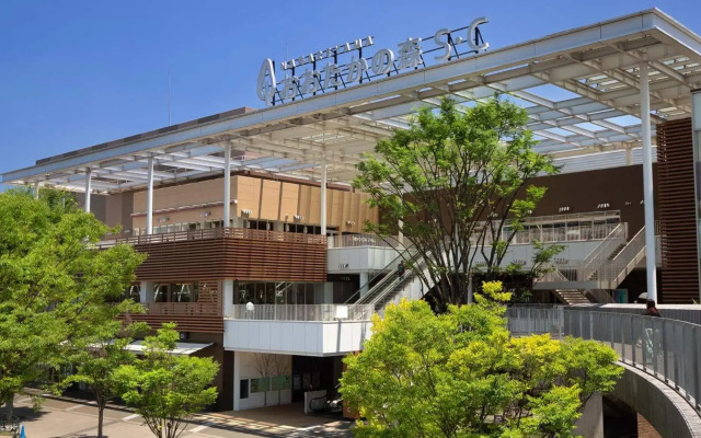 Toyoko Inn Nagareyama-Otakanomori Ekimae