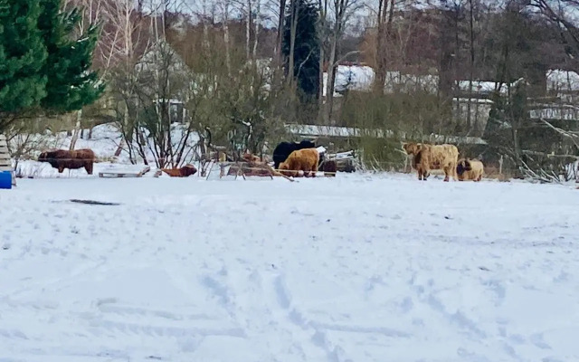 Ferienhaus am Schwielochsee