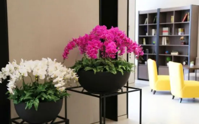 Homeinn Plus Hotel (Beijing Songjiazhuang Subway Station)