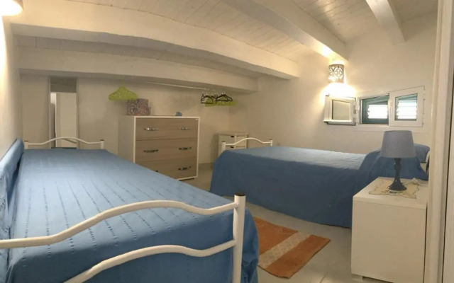 Casa Rok