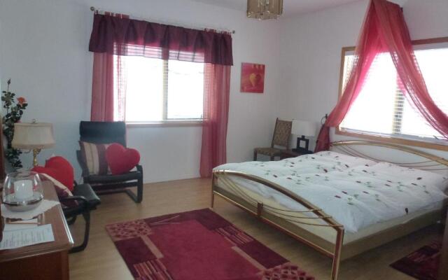 Little Black Bear Lodge/B&B