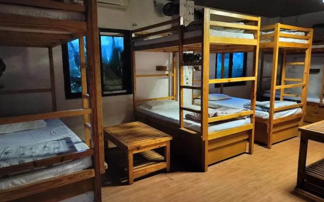 Jungle by sturmfrei Pushkar