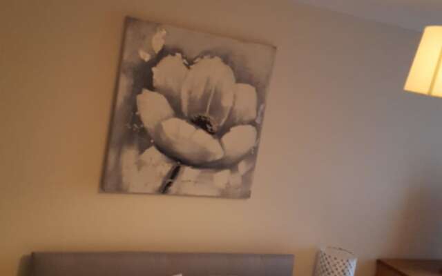 Castleton Gardens Apartments Belfast