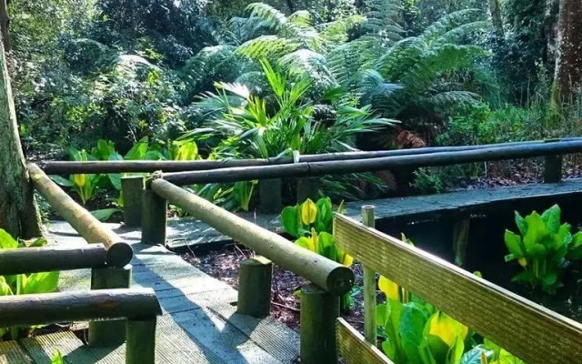 Kilmokea Country Manor & Gardens