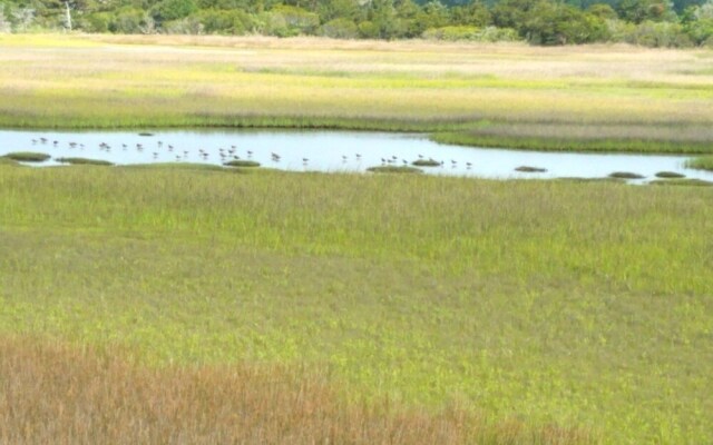 The White - 3 Br Home