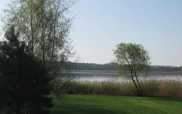 Przepiórka - Lisewo